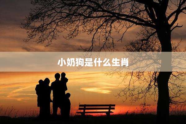 小奶狗是什么生肖