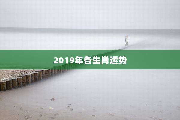 2019年各生肖运势