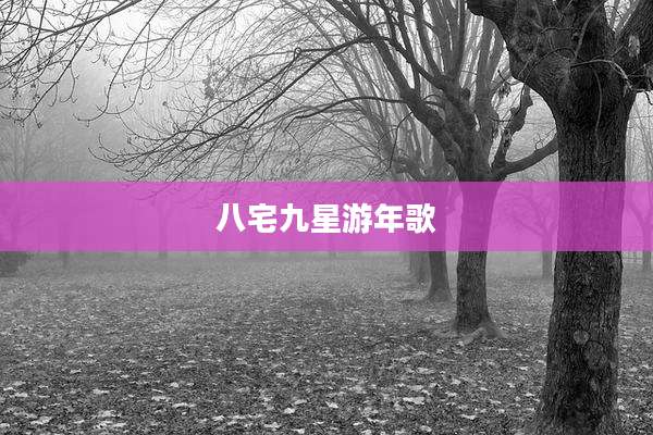 八宅九星游年歌