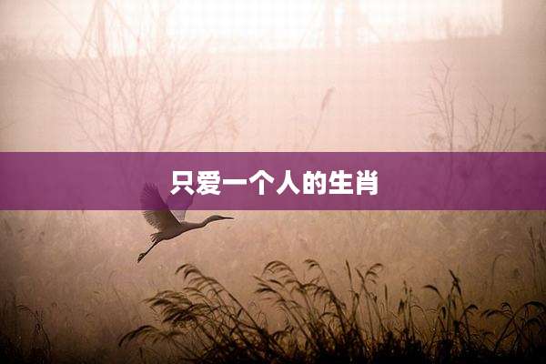 只爱一个人的生肖