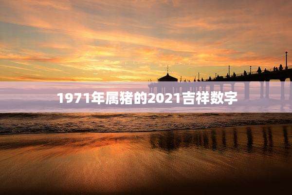 1971年属猪的2021吉祥数字