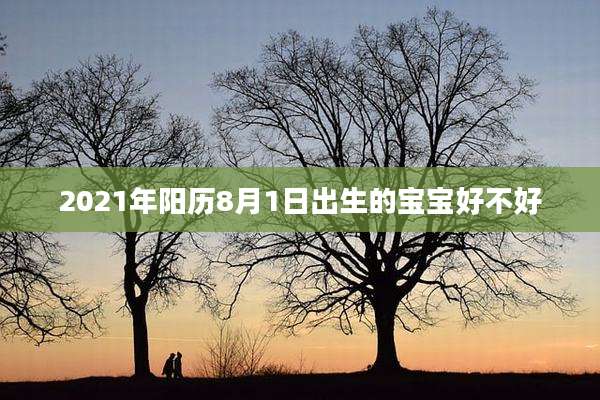 2021年阳历8月1日出生的宝宝好不好