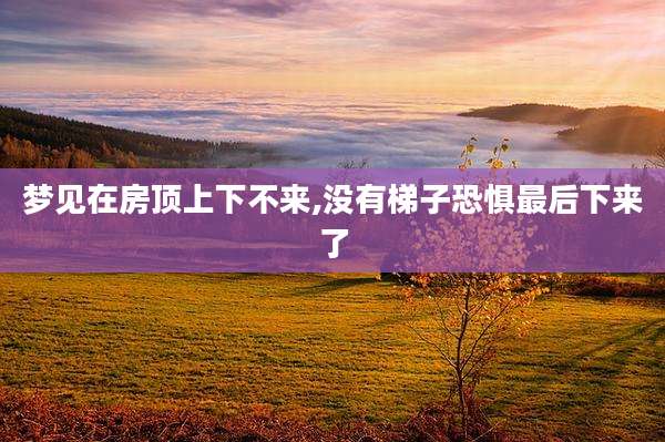 梦见在房顶上下不来,没有梯子恐惧最后下来了