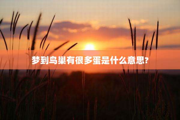 梦到鸟巢有很多蛋是什么意思?