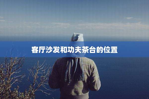 客厅沙发和功夫茶台的位置