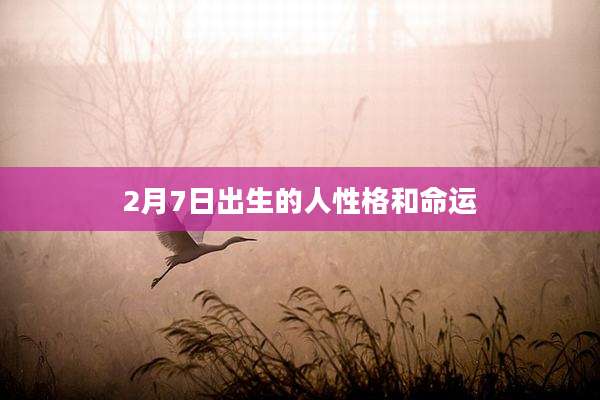 2月7日出生的人性格和命运