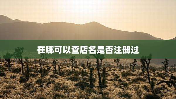在哪可以查店名是否注册过