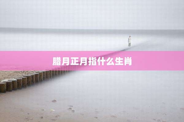 腊月正月指什么生肖
