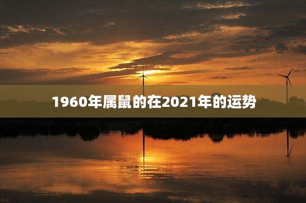 1960年属鼠的在2021年的运势
