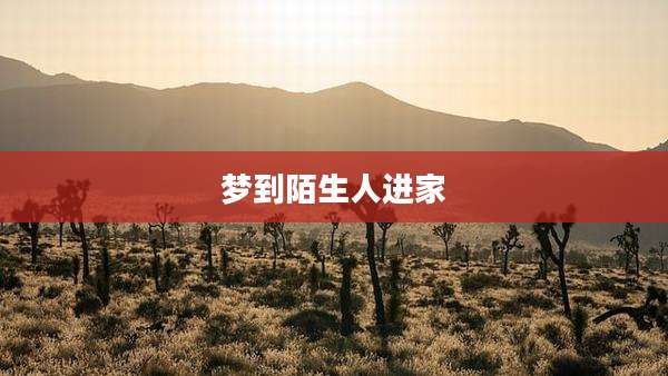 梦到陌生人进家
