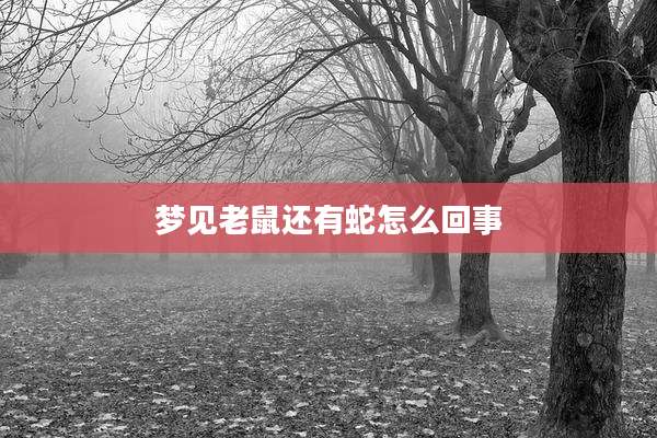 梦见老鼠还有蛇怎么回事