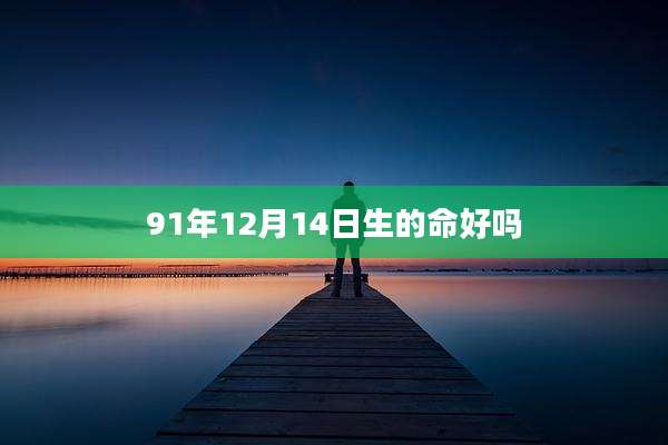 91年12月14日生的命好吗