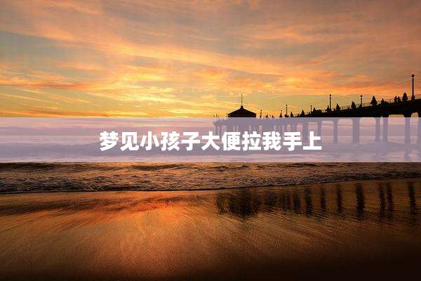 梦见小孩子大便拉我手上