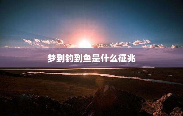 梦到钓到鱼是什么征兆
