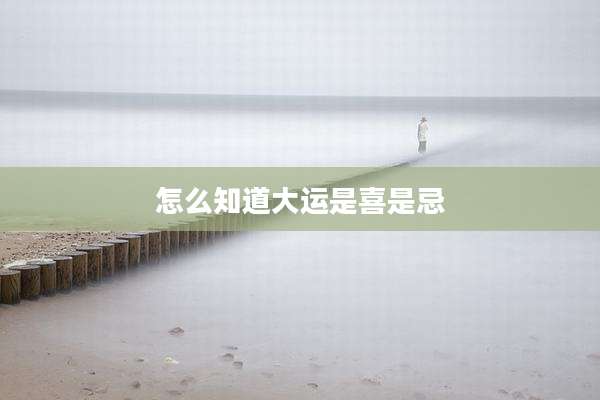 怎么知道大运是喜是忌