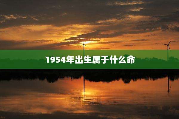 1954年出生属于什么命