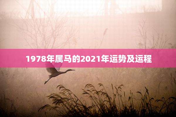 1978年属马的2021年运势及运程