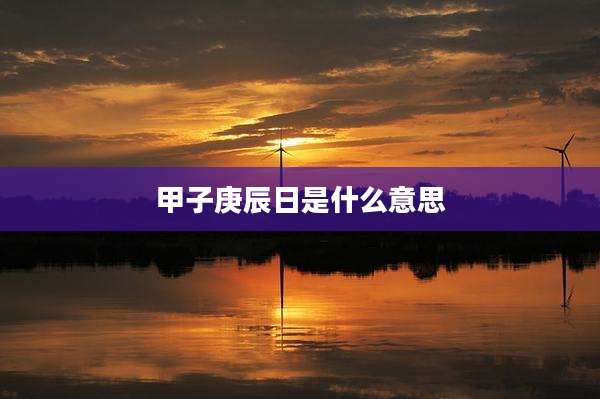 甲子庚辰日是什么意思