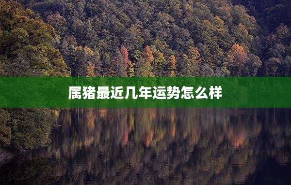 属猪最近几年运势怎么样