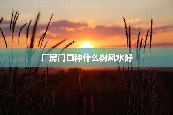 厂房门口种什么树风水好