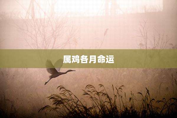 属鸡各月命运