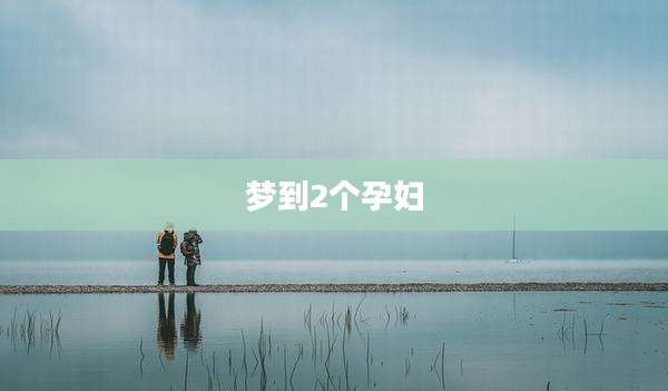 梦到2个孕妇