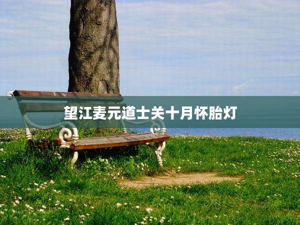 望江麦元道士关十月怀胎灯