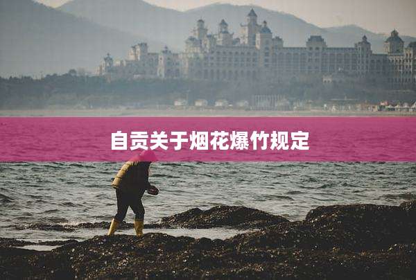 自贡关于烟花爆竹规定