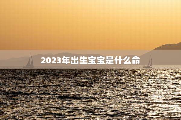 2023年出生宝宝是什么命