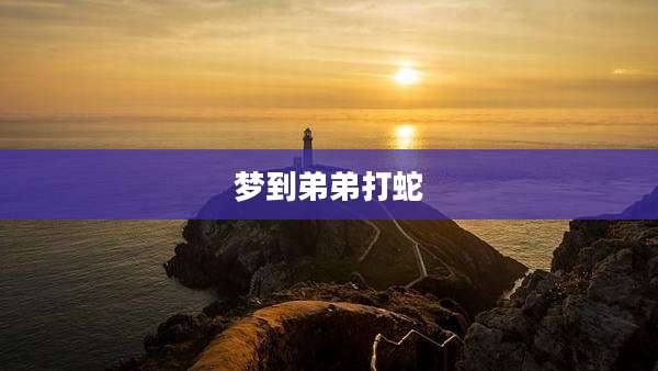 梦到弟弟打蛇