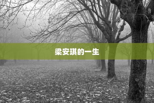 梁安琪的一生