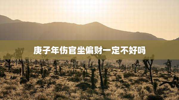 庚子年伤官坐偏财一定不好吗