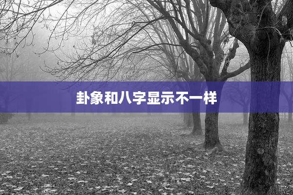 卦象和八字显示不一样