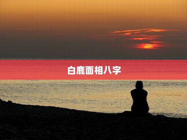 白鹿面相八字