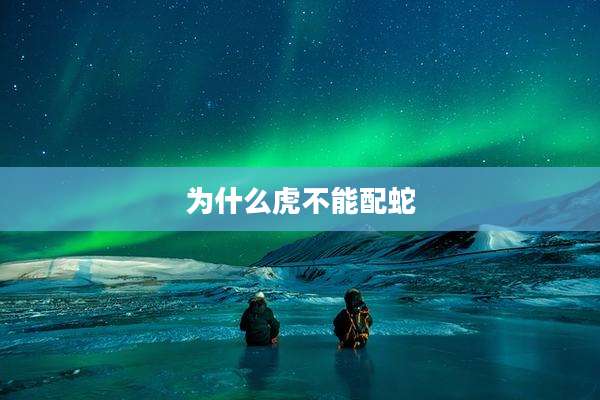 为什么虎不能配蛇