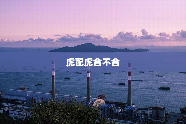 虎配虎合不合