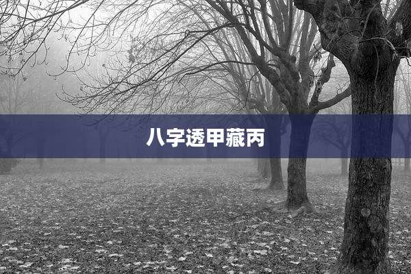八字透甲藏丙