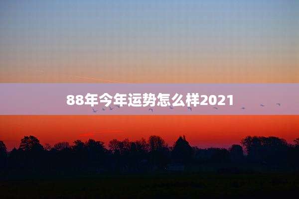 88年今年运势怎么样2021