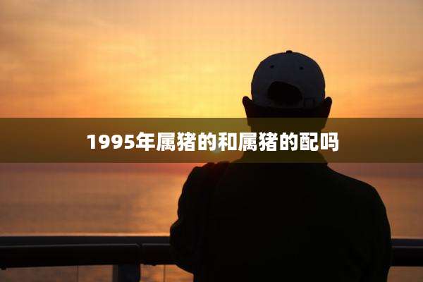 1995年属猪的和属猪的配吗