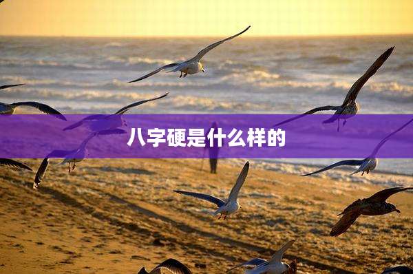 八字硬是什么样的