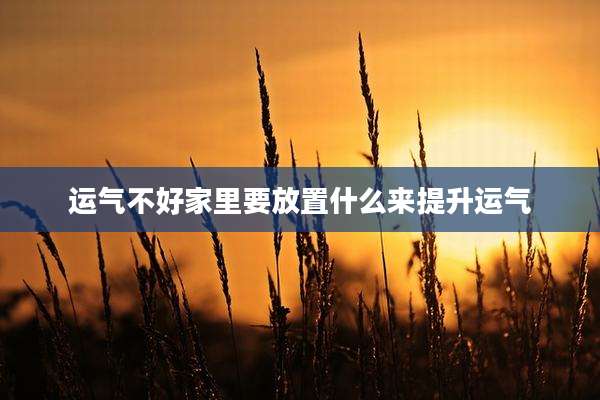 运气不好家里要放置什么来提升运气