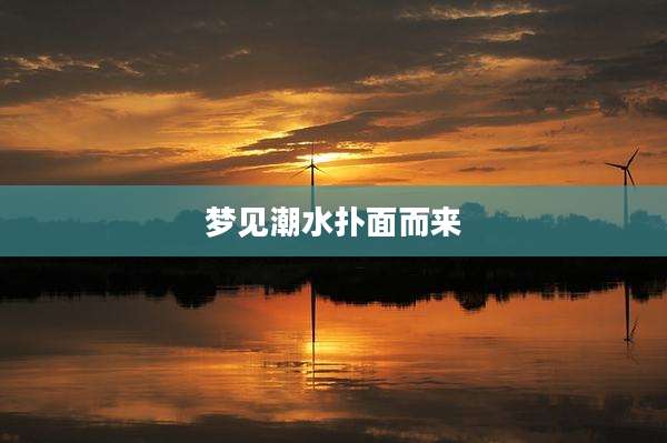 梦见潮水扑面而来