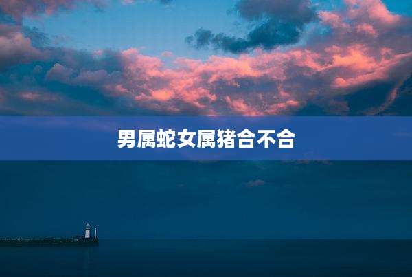 男属蛇女属猪合不合