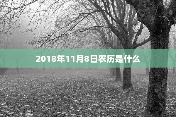 2018年11月8日农历是什么