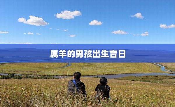 属羊的男孩出生吉日