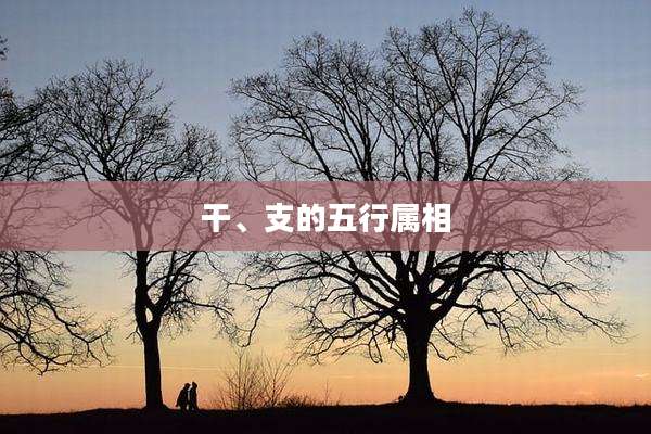干、支的五行属相