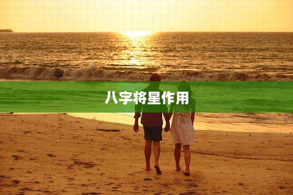 八字将星作用