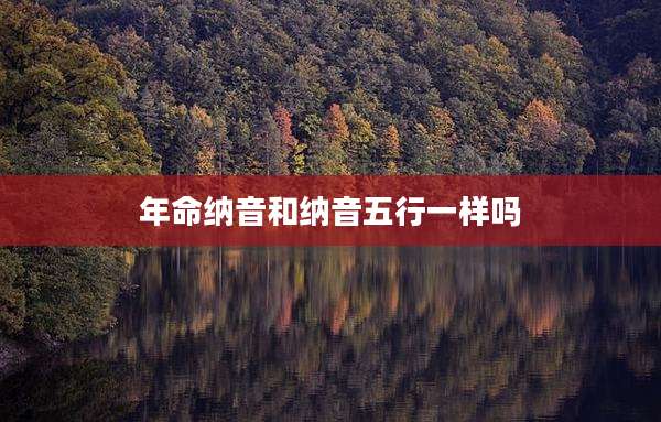 年命纳音和纳音五行一样吗
