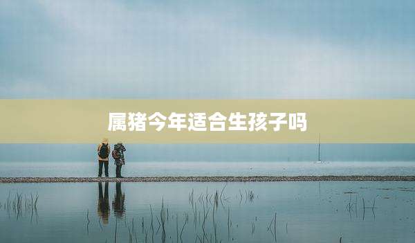 属猪今年适合生孩子吗