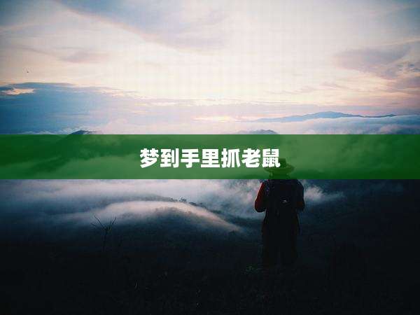 梦到手里抓老鼠